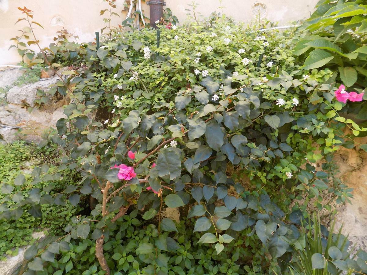 Garden&House Amore Vero Модика Екстериор снимка